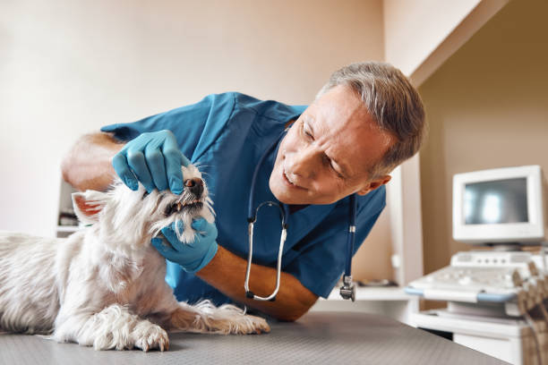 Best Same-Day Emergency Dentist in Monfort Heights, OH